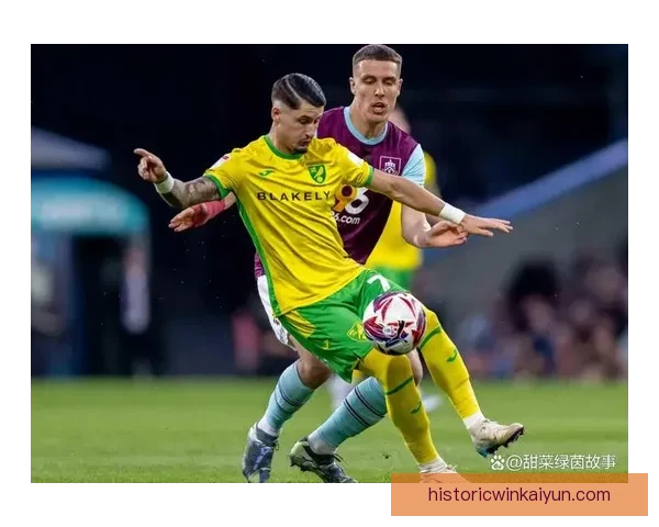 诺维奇在英冠表现趋于稳健，争取重回英超竞争行列