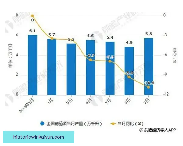 足球体育配件市场趋势分析与消费者需求变化